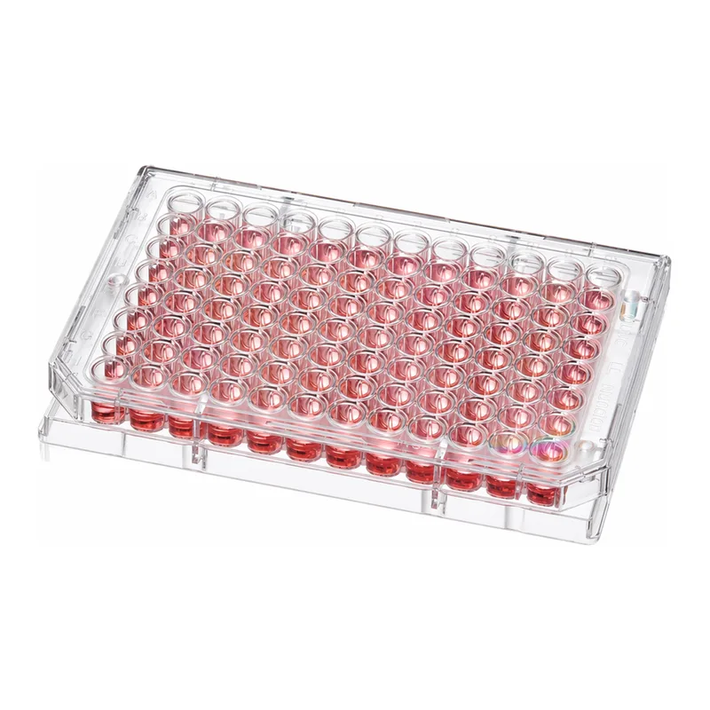 Thermo Fisher Scientific 96 Well Round (U) Bottom Plate, TC Surface, No Lid, Pack of 1