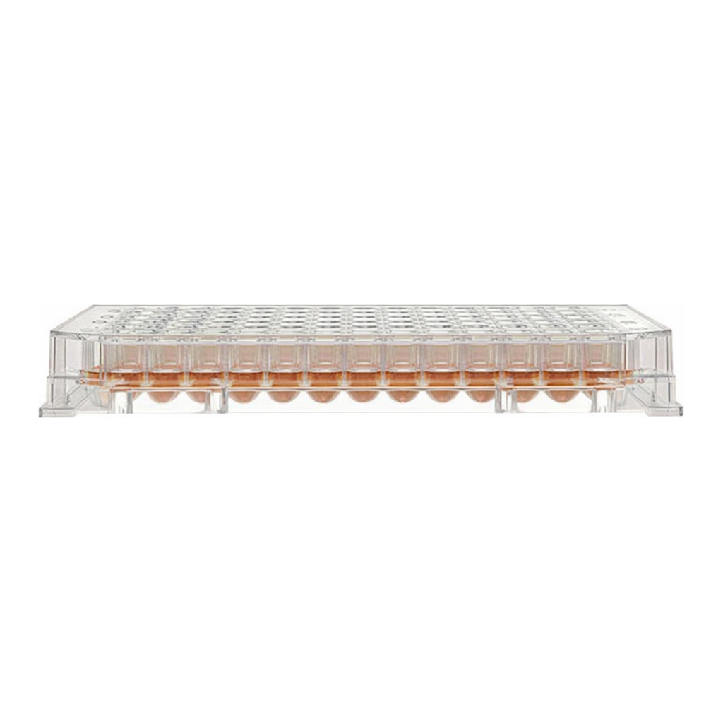 Thermo Fisher Scientific 96 Well Round (U) Bottom Plate, TC Surface, Pack of 1