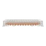 Thermo Fisher Scientific 96 Well Round (U) Bottom Plate, TC Surface, Pack of 1