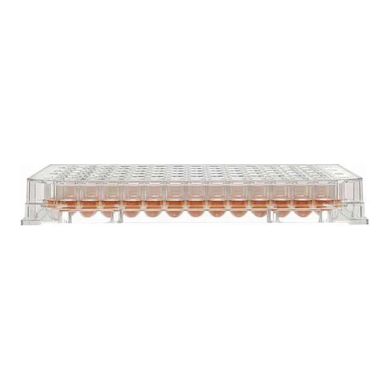 Thermo Fisher Scientific 96 Well Round (U) Bottom Plate, TC Surface, Pack of 1