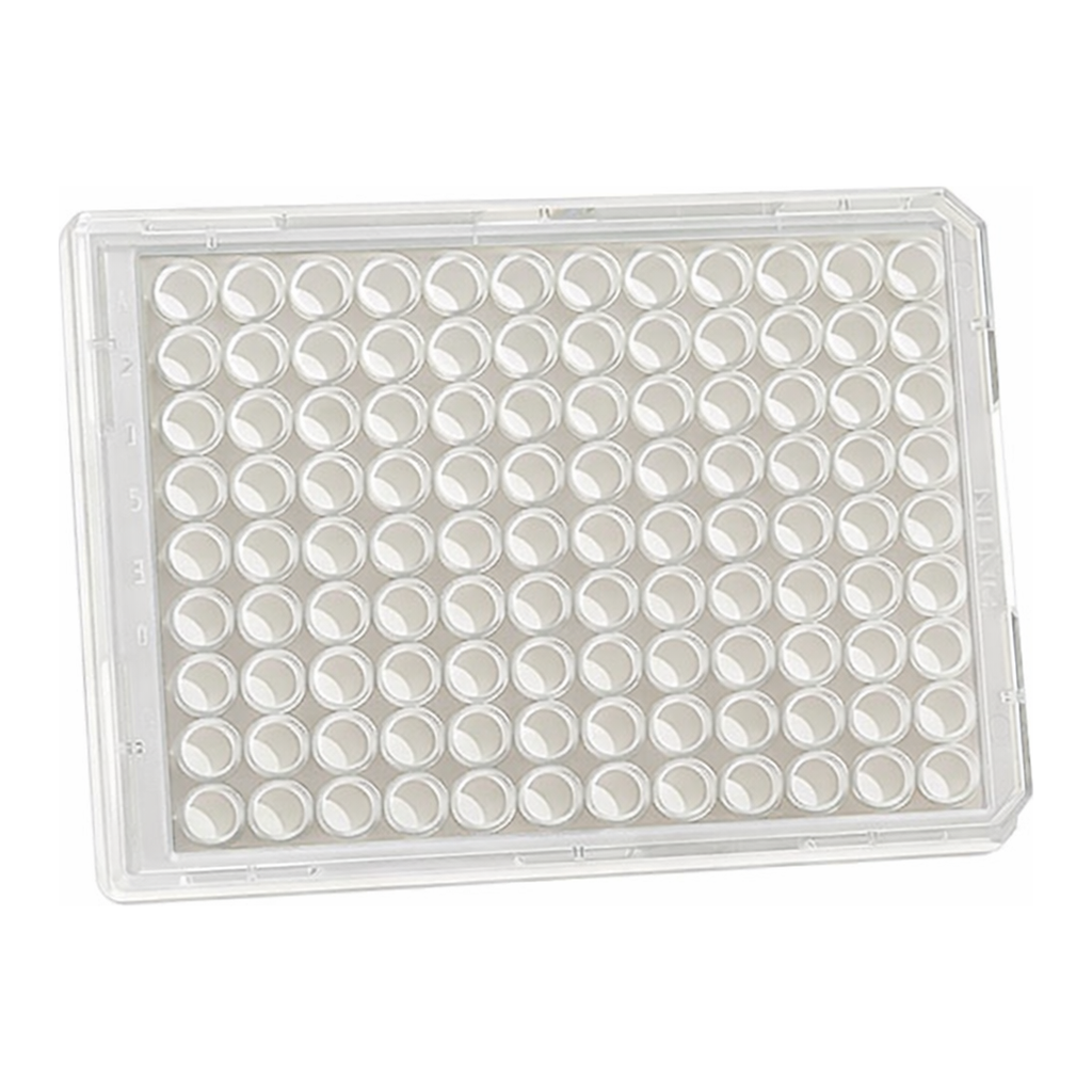 Thermo Fisher Scientific 96 Well White/Clear Bottom Plate, Non-Treated Surface, No Lid, Non-Sterile, Pack of 10