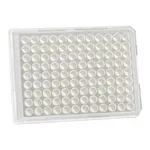 Thermo Fisher Scientific 96 Well White/Clear Bottom Plate, Non-Treated Surface, No Lid, Non-Sterile, Pack of 10