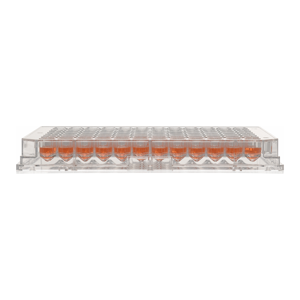 Thermo Fisher Scientific Nunc 96-Well Polystyrene Conical Bottom MicroWell Plate