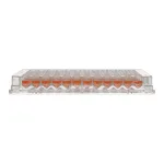 Thermo Fisher Scientific Nunc 96-Well Polystyrene Conical Bottom MicroWell Plate