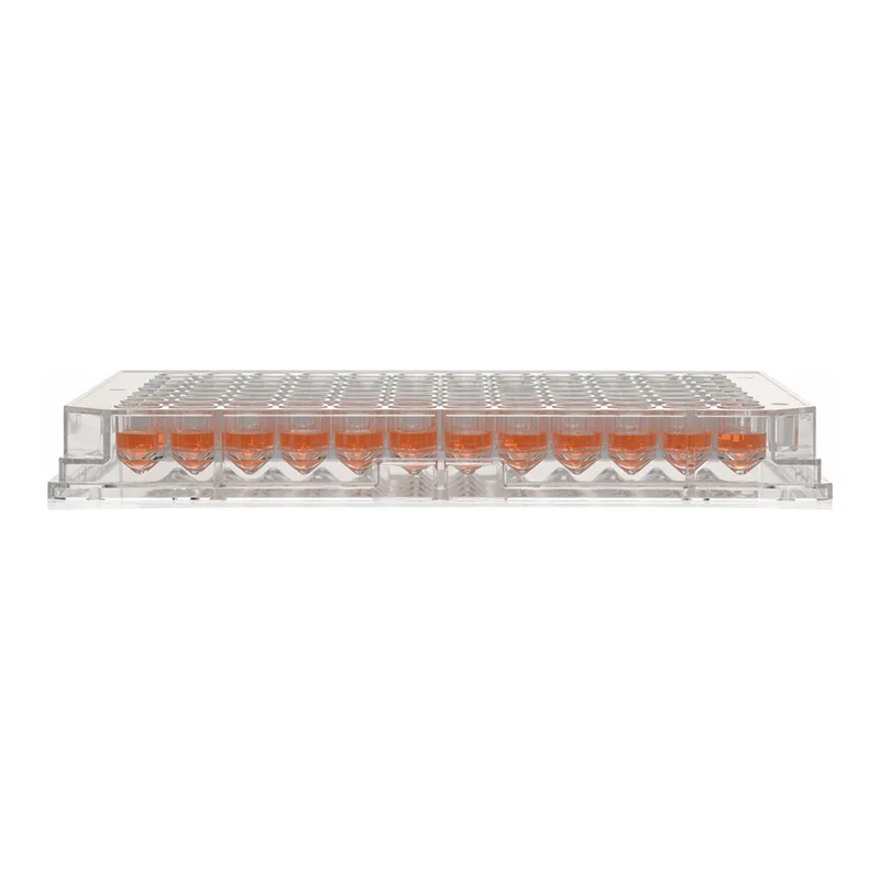 Thermo Fisher Scientific Nunc 96-Well Polystyrene Conical Bottom MicroWell Plate