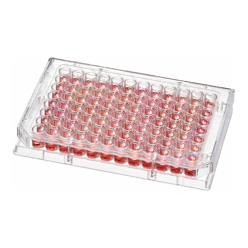 Thermo Fisher Scientific Nunc 96-Well Polystyrene Round Bottom Microwell Plate