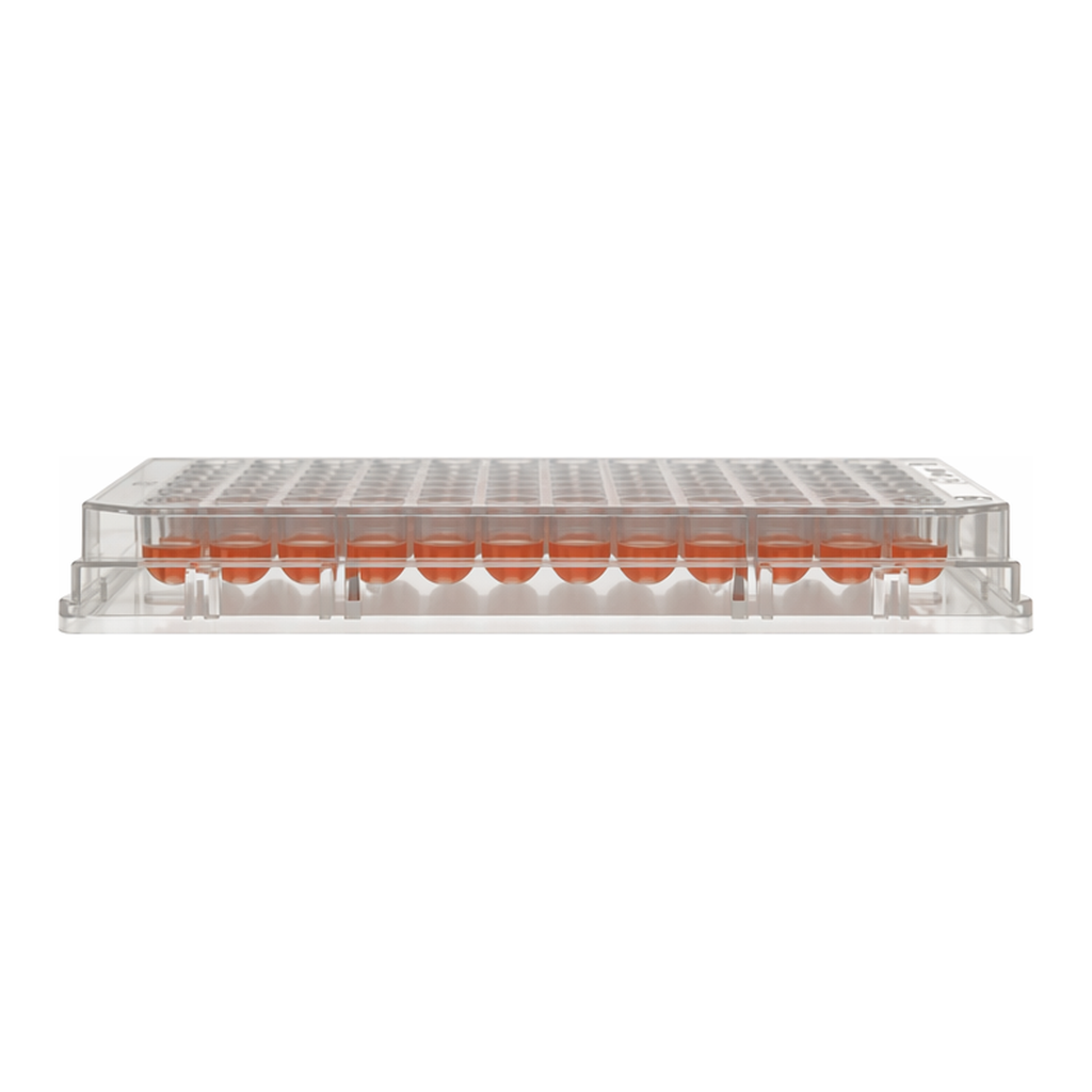 Thermo Fisher Scientific Nunc 96-Well, Nunclon Delta-Treated, U-Shaped-Bottom Microplate