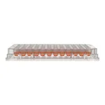 Thermo Fisher Scientific Nunc 96-Well, Nunclon Delta-Treated, U-Shaped-Bottom Microplate