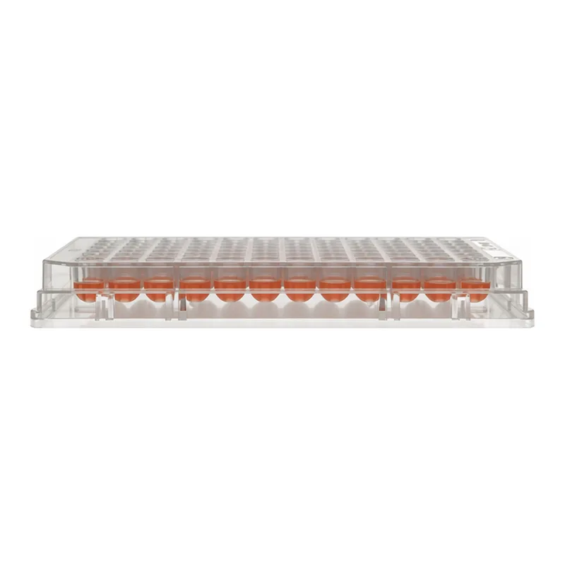 Thermo Fisher Scientific Nunc 96-Well, Nunclon Delta-Treated, U-Shaped-Bottom Microplate