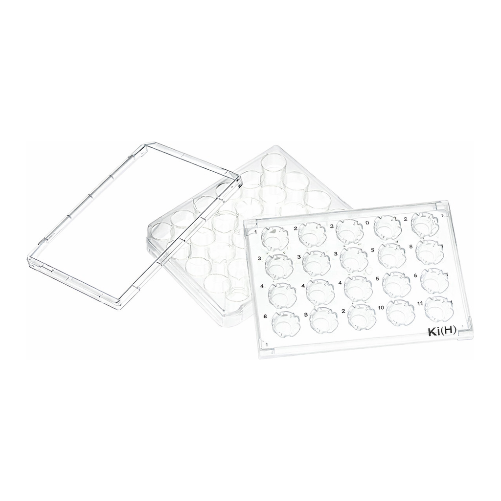 Thermo Fisher Scientific Nunc Carrier Plate for Cell Culture Insert