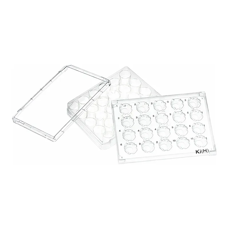 Thermo Fisher Scientific Nunc Carrier Plate for Cell Culture Insert