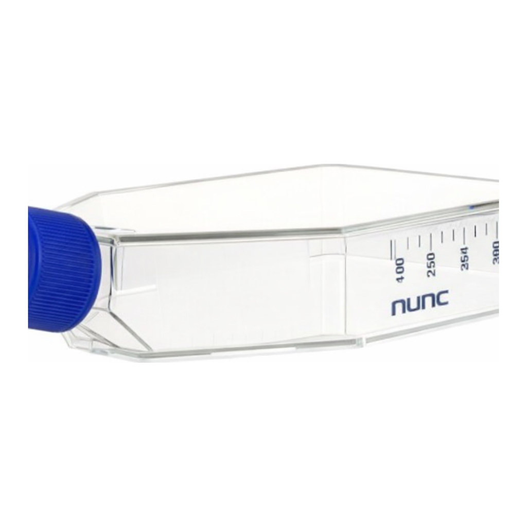 Thermo Fisher Scientific Nunc Cell Culture Treated Flask with Filter Cap