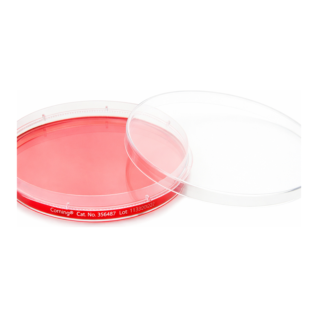 Thermo Fisher Scientific Nunc EasYDish Dishes