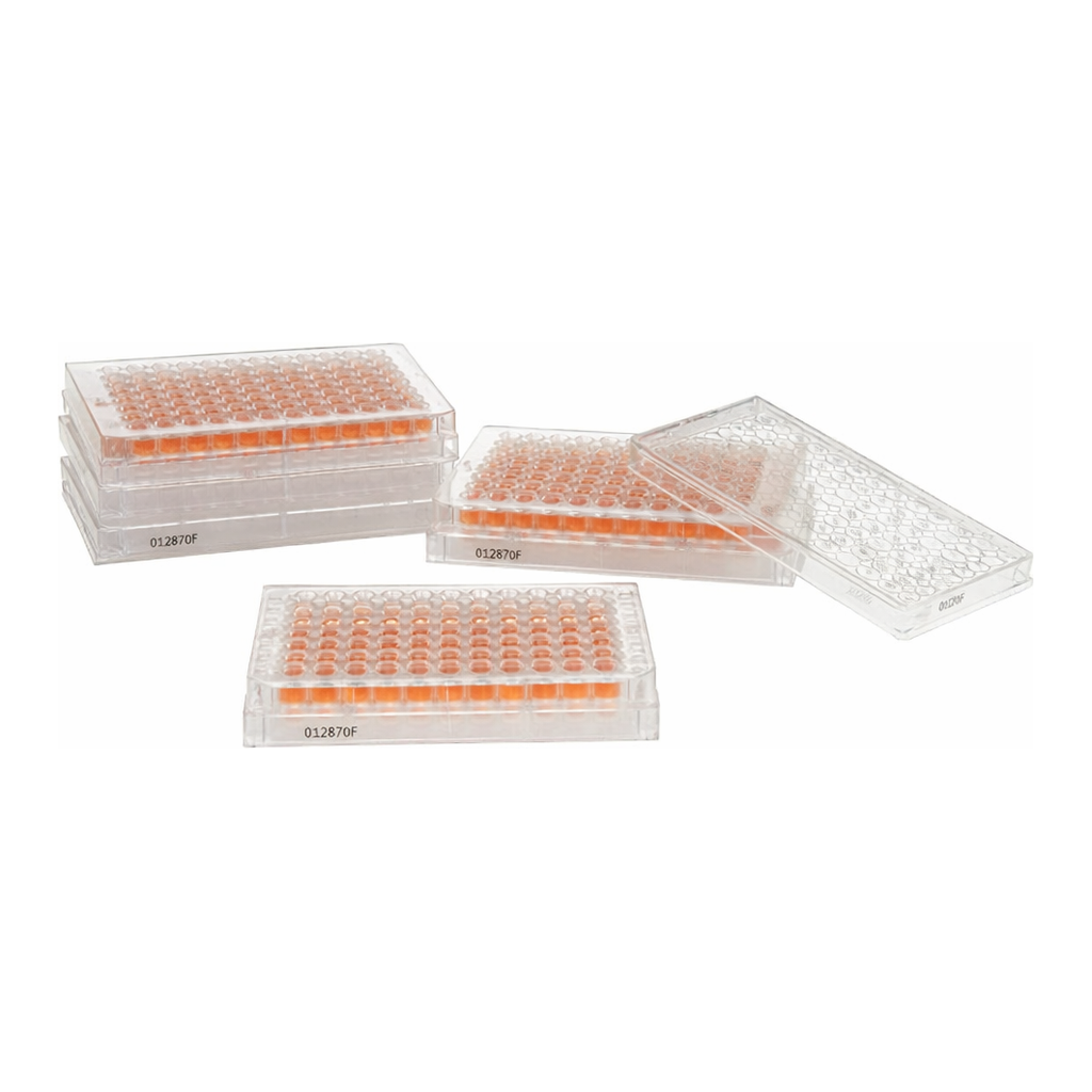 Thermo Fisher Scientific Nunc MicroWell 96-Well, Nunclon Delta-Treated, Flat-Bottom Microplate
