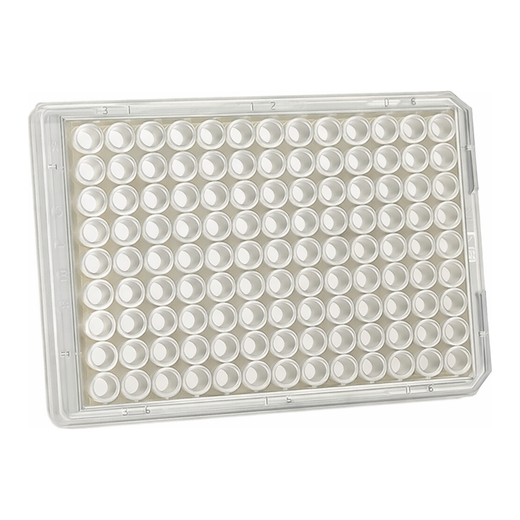 Thermo Fisher Scientific Nunc MicroWell 96-Well, Poly-D Lysine-Treated, Flat-Bottom, Optical Polymer Base Microplate