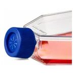 Thermo Fisher Scientific Nunc Non-treated Flask