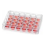 Thermo Fisher Scientific Nunc Non-Treated Multidish