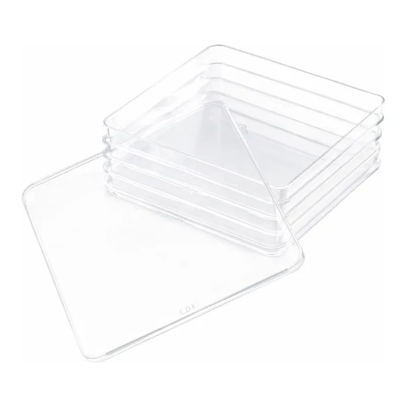 Thermo Fisher Scientific Nunc Square BioAssay Dish