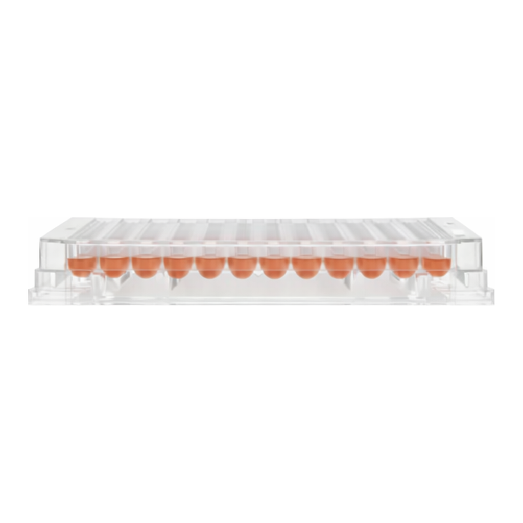 Thermo Fisher Scientific Nunclon Sphera 96-Well, Nunclon Sphera-Treated, U-Shaped-Bottom Microplate