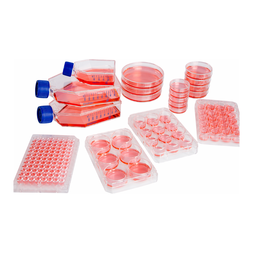 Thermo Fisher Scientific Nunclon Sphera Dishes
