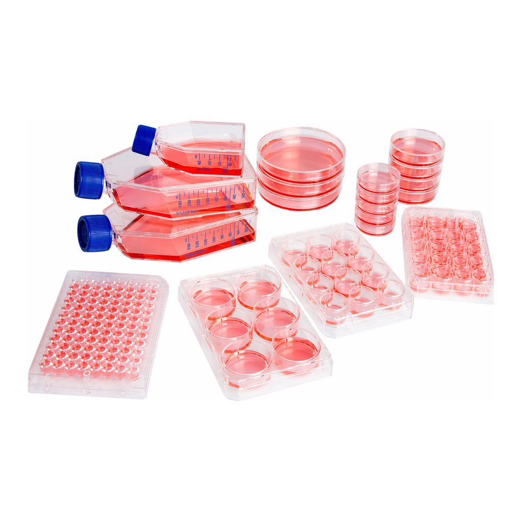 Thermo Fisher Scientific Nunclon Sphera Flask