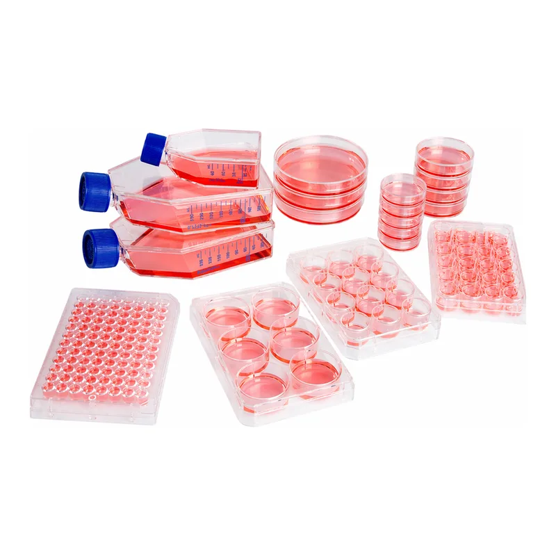 Thermo Fisher Scientific Nunclon Sphera Flask