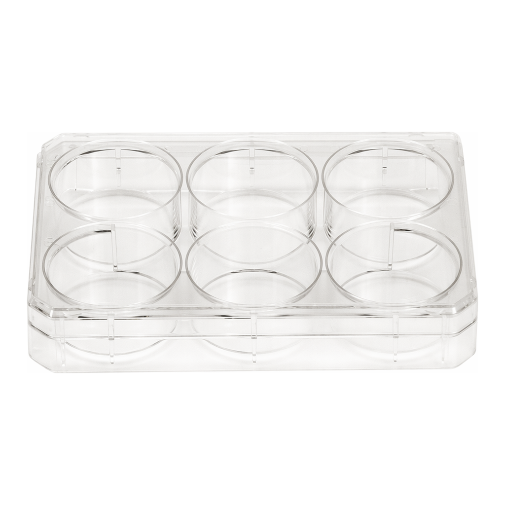 Thermo Fisher Scientific Thermo Scientific Nunc Cell-Culture Treated Multidish