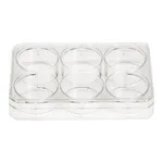 Thermo Fisher Scientific Thermo Scientific Nunc Cell-Culture Treated Multidish