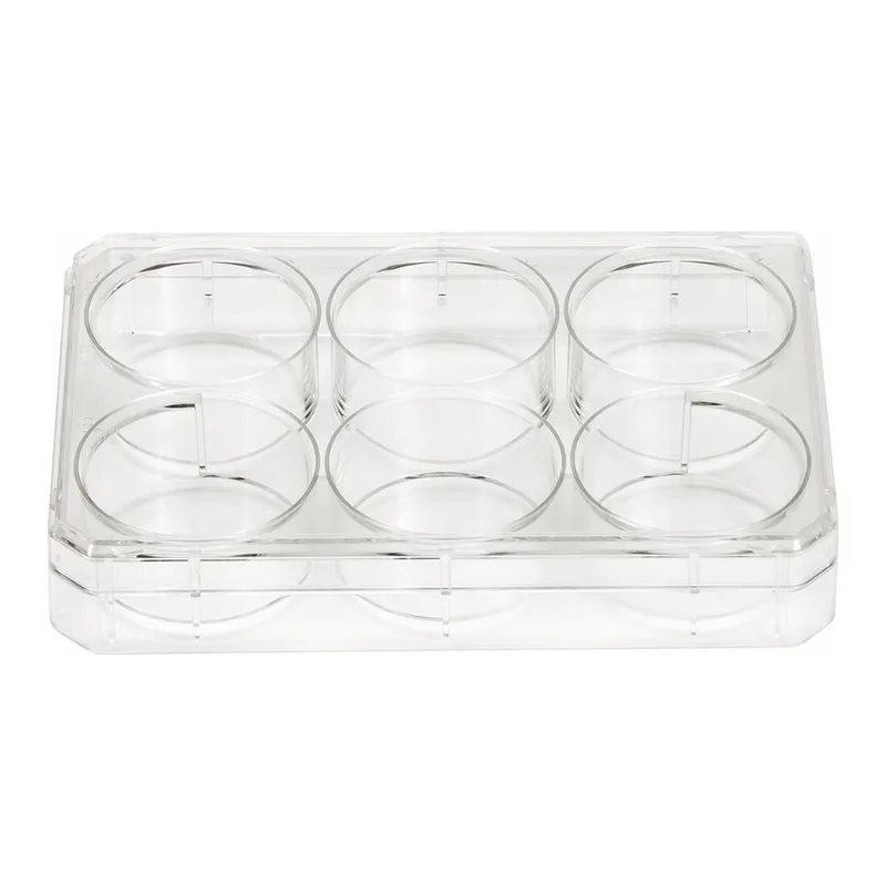 Thermo Fisher Scientific Thermo Scientific Nunc Cell-Culture Treated Multidish