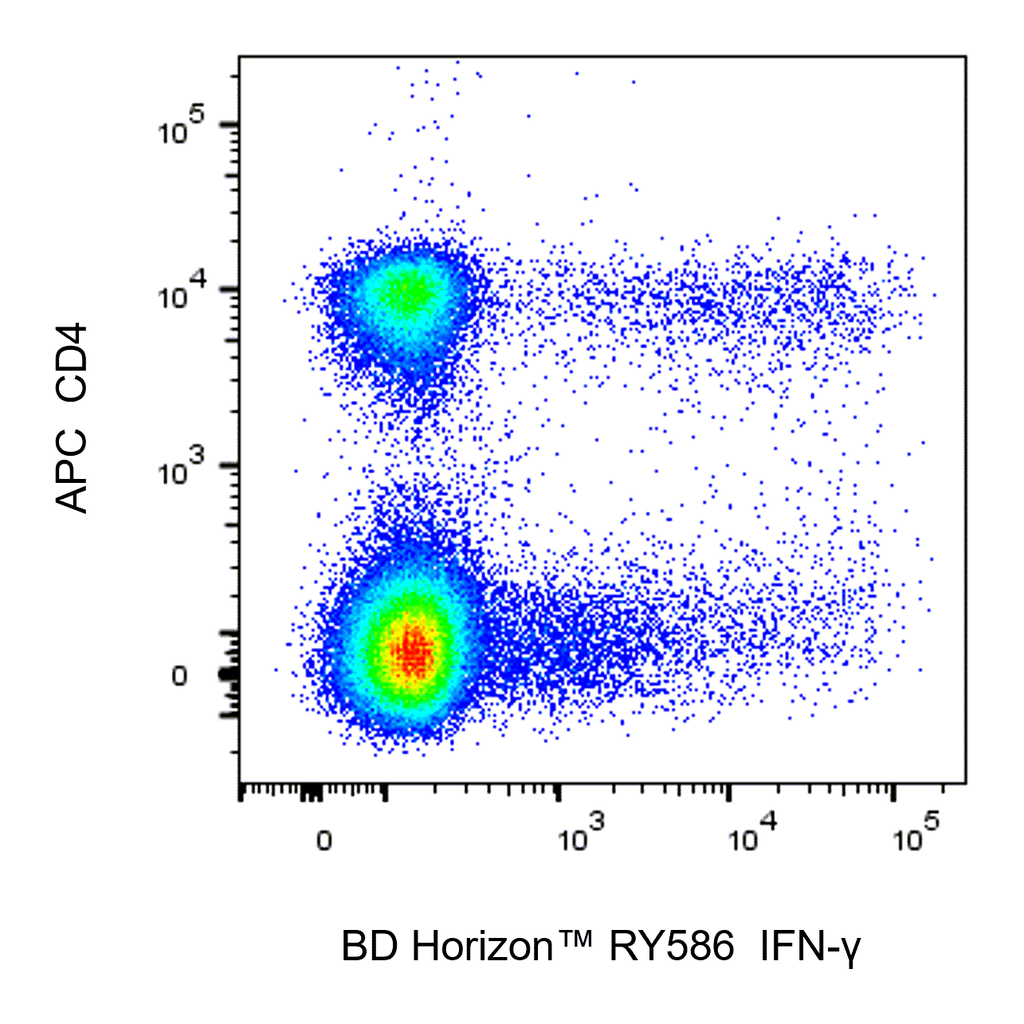 BD RY586 Rat Anti-Mouse IFN-γ