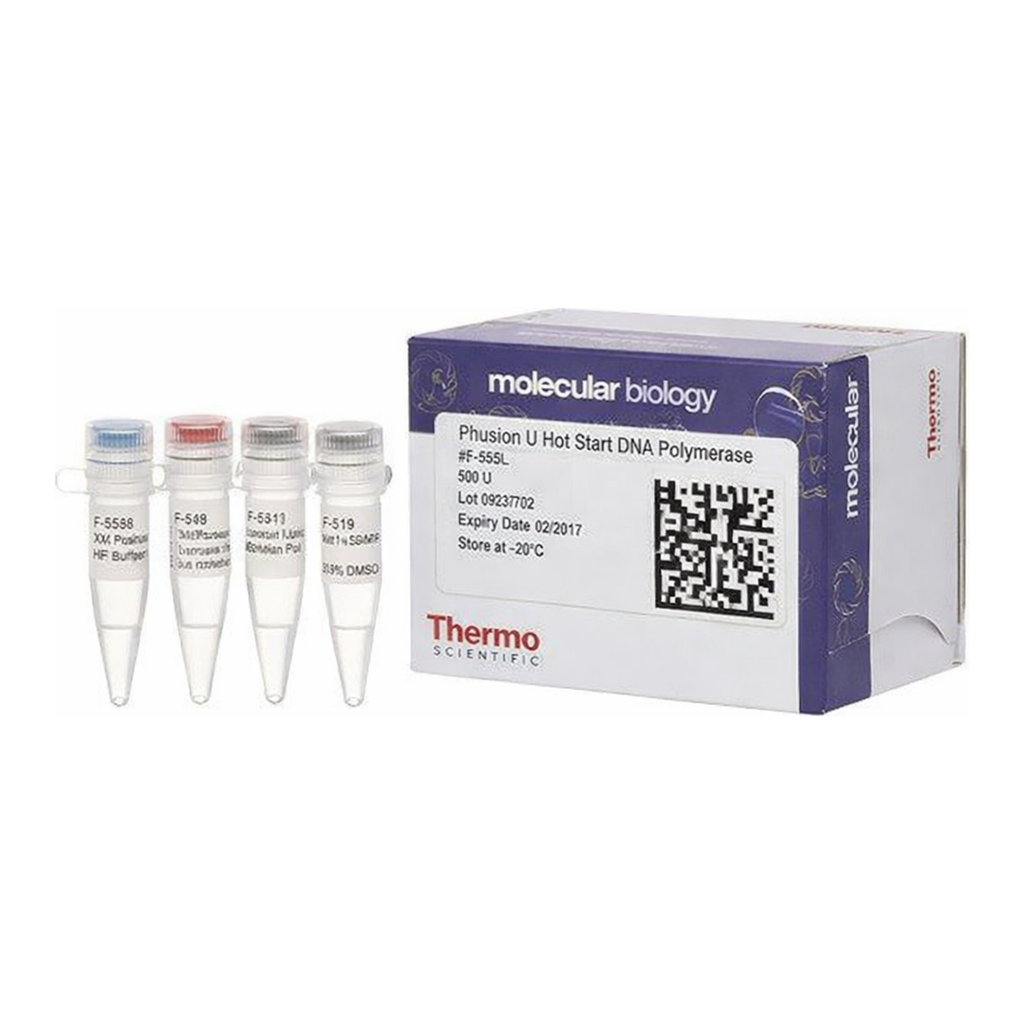 Thermo Fisher Scientific Phusion U Hot Start DNA Polymerase, 500 units