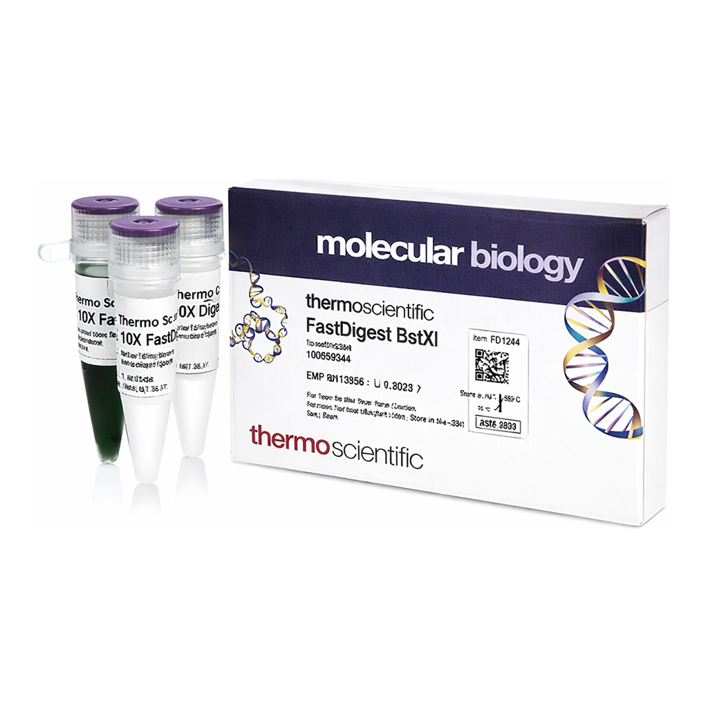 Thermo Fisher Scientific FastDigest BstXI