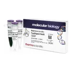 Thermo Fisher Scientific FastDigest BstXI