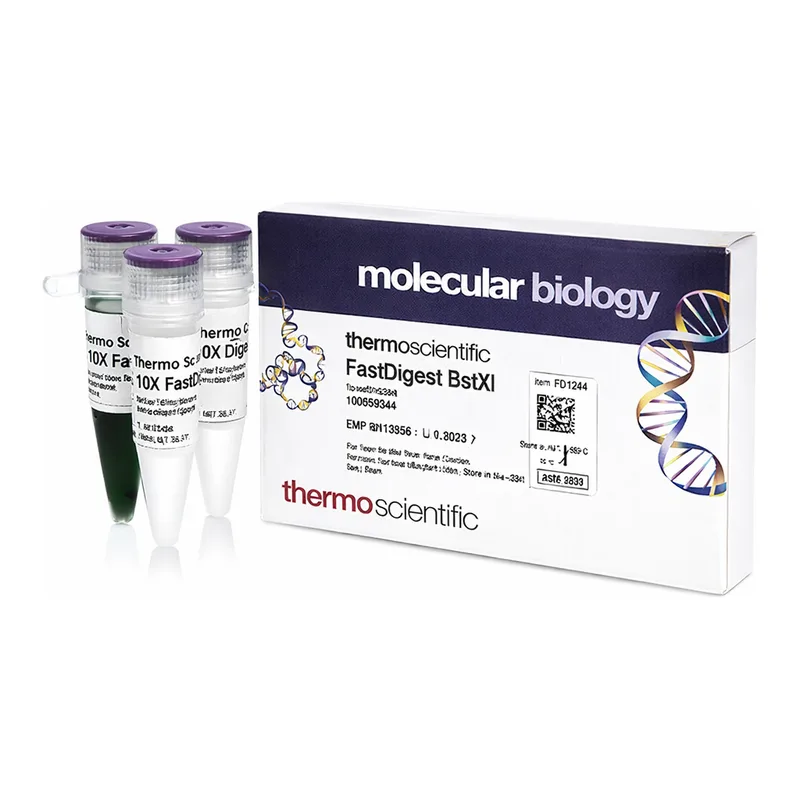 Thermo Fisher Scientific FastDigest BstXI