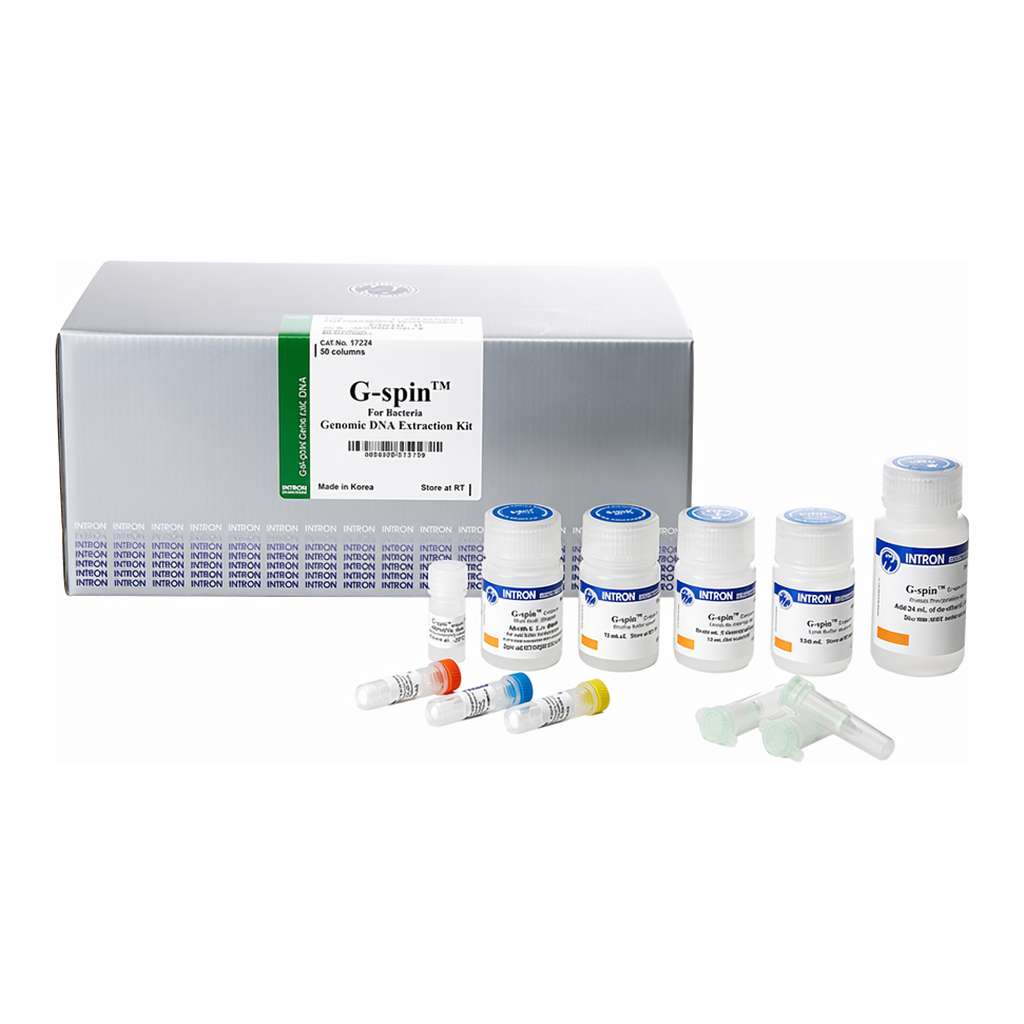 Intron G-spin™ Genomic DNA Extraction Kit (for Bacteria)