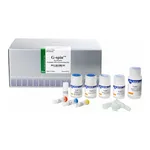 Intron G-spin™ Genomic DNA Extraction Kit (for Bacteria)