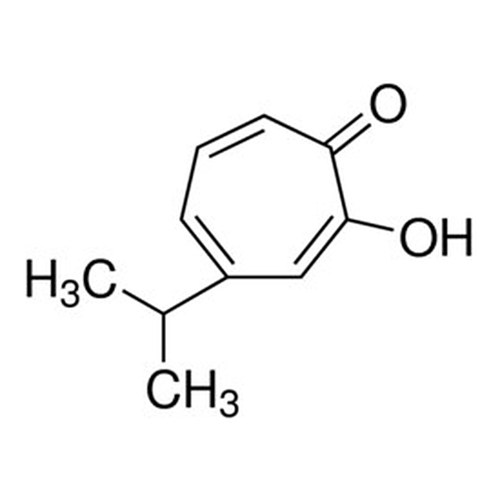 Merck BETA-THUJAPLICIN, 99%