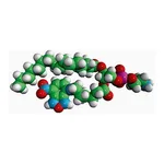Merck 16:0-06:0 NBD PE