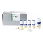 Intron G-DEX™ IIb RBC Lysis Buffer