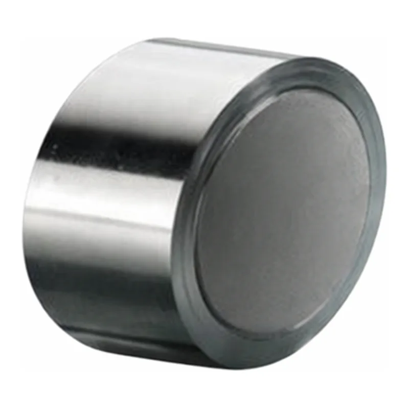 Waters XTerra MS C18 Prep Guard Cartridge, 125Å, 5 µm, 19 mm X 10 mm, 1/pk