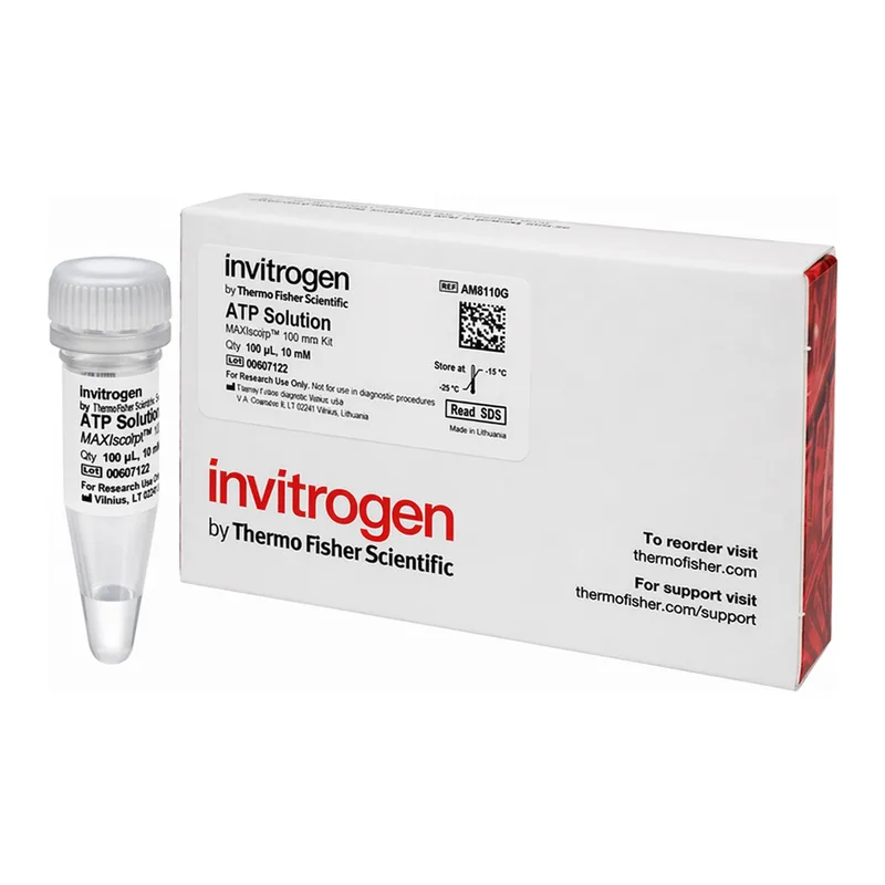 Thermo Fisher Scientific ATP Solution (10 mM)