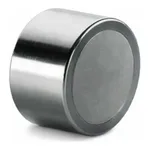 Waters SunFire Silica Prep Guard Cartridge, 100Å, 10 µm, 19 mm X 10 mm, 1/pk