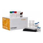 Thermo Fisher Scientific Cytokine 30-Plex Human Panel
