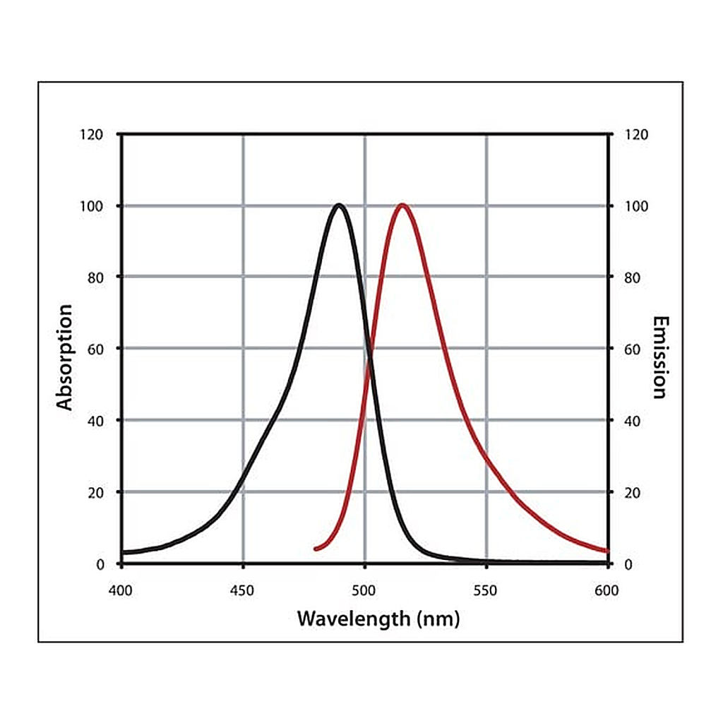 Merck Anti-Goat IgG (H+L), highly cross-adsorbed, CF(TM) 488A antibody produced in donkey