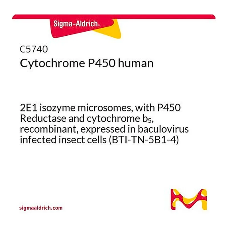 Merck Cytochrome P450 human