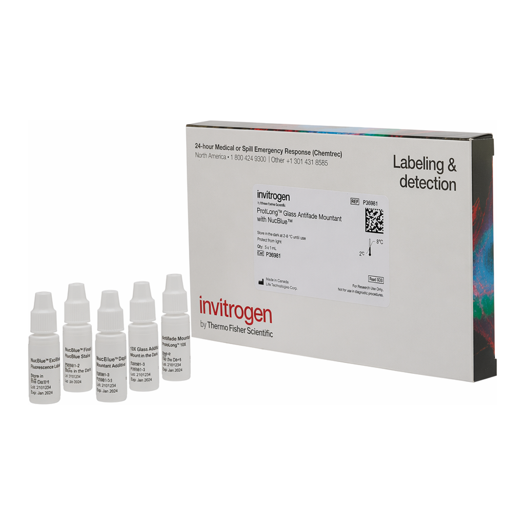 Thermo Fisher Scientific ProLong Glass Antifade Mountant with NucBlue Stain, 5 x 2 mL