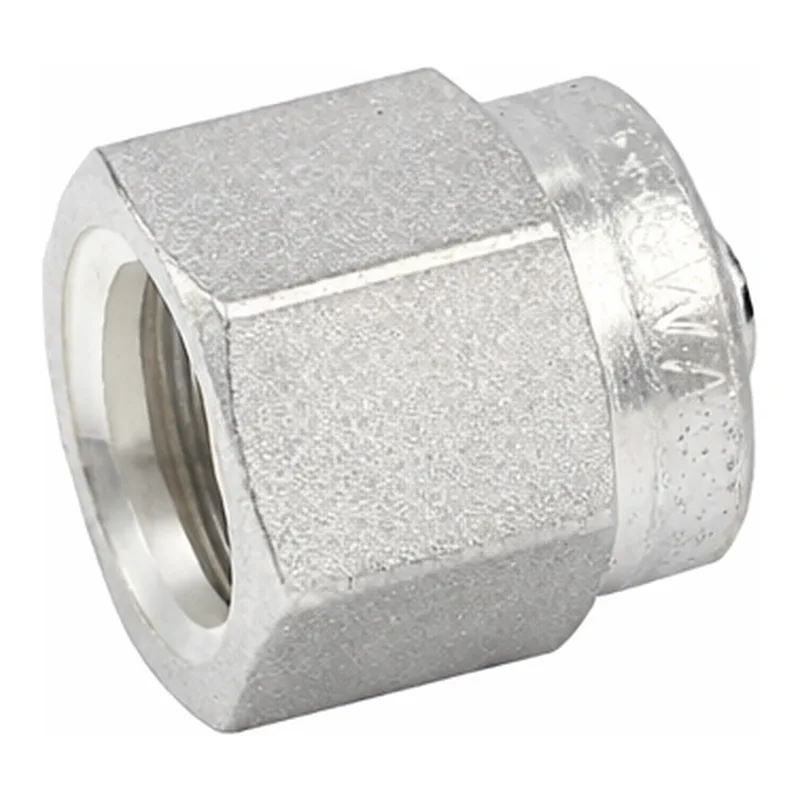 Agilent Plug, 1/8inch, Stainless
