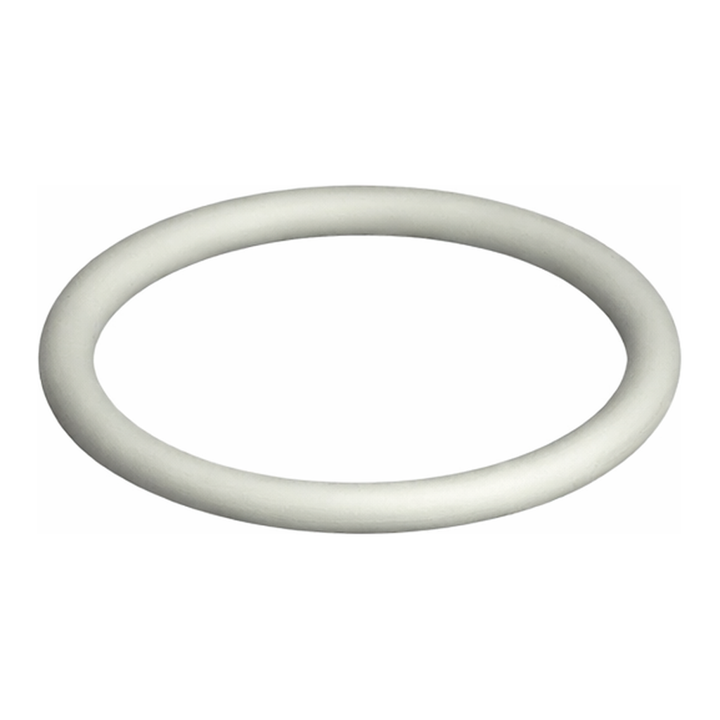 Waters O-Ring, FEP, 2-016