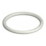 Waters O-Ring, FEP, 2-016