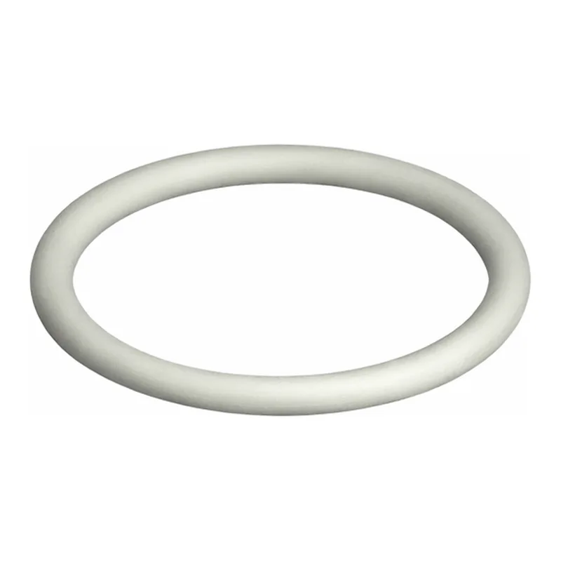 Waters O-Ring, FEP, 2-016